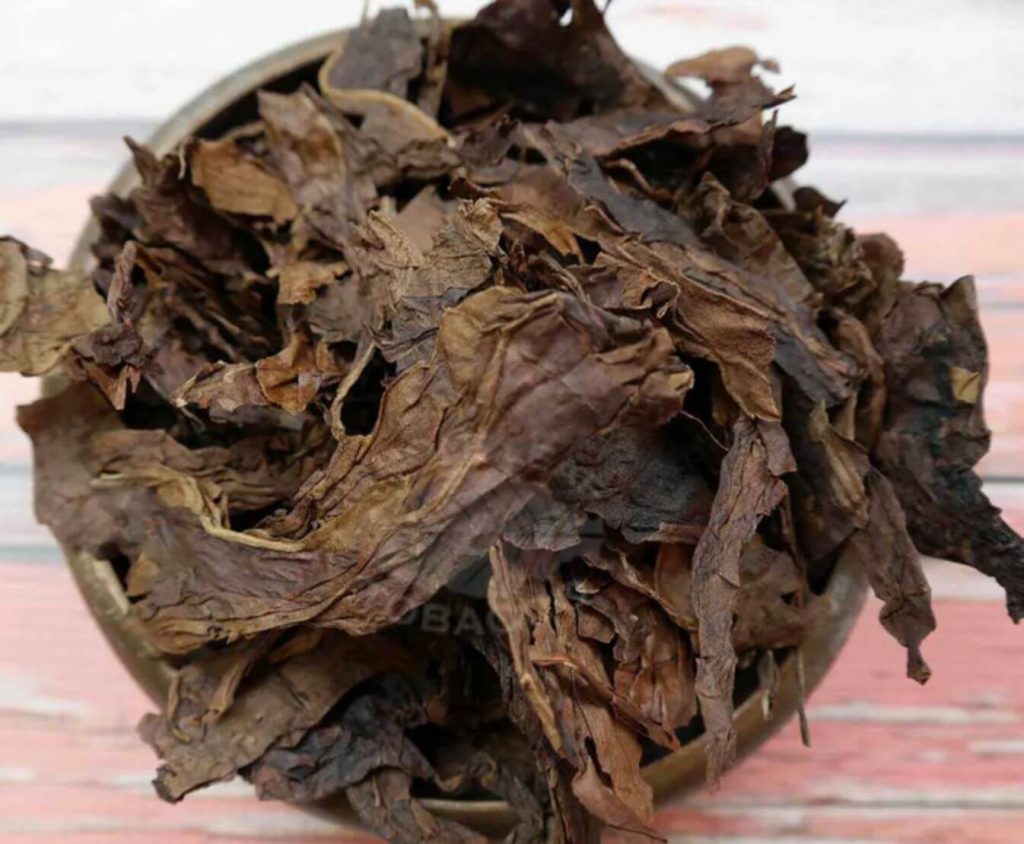 A close-up of Latakia tobacco leaves